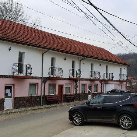 Pensiunea Lucica Sacelu Buitenkant foto