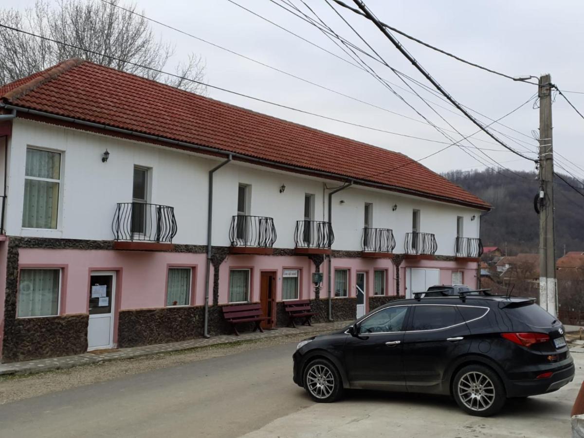 Pensiunea Lucica Sacelu Buitenkant foto