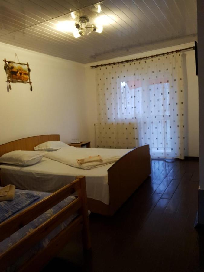 Pensiunea Lucica Sacelu Buitenkant foto