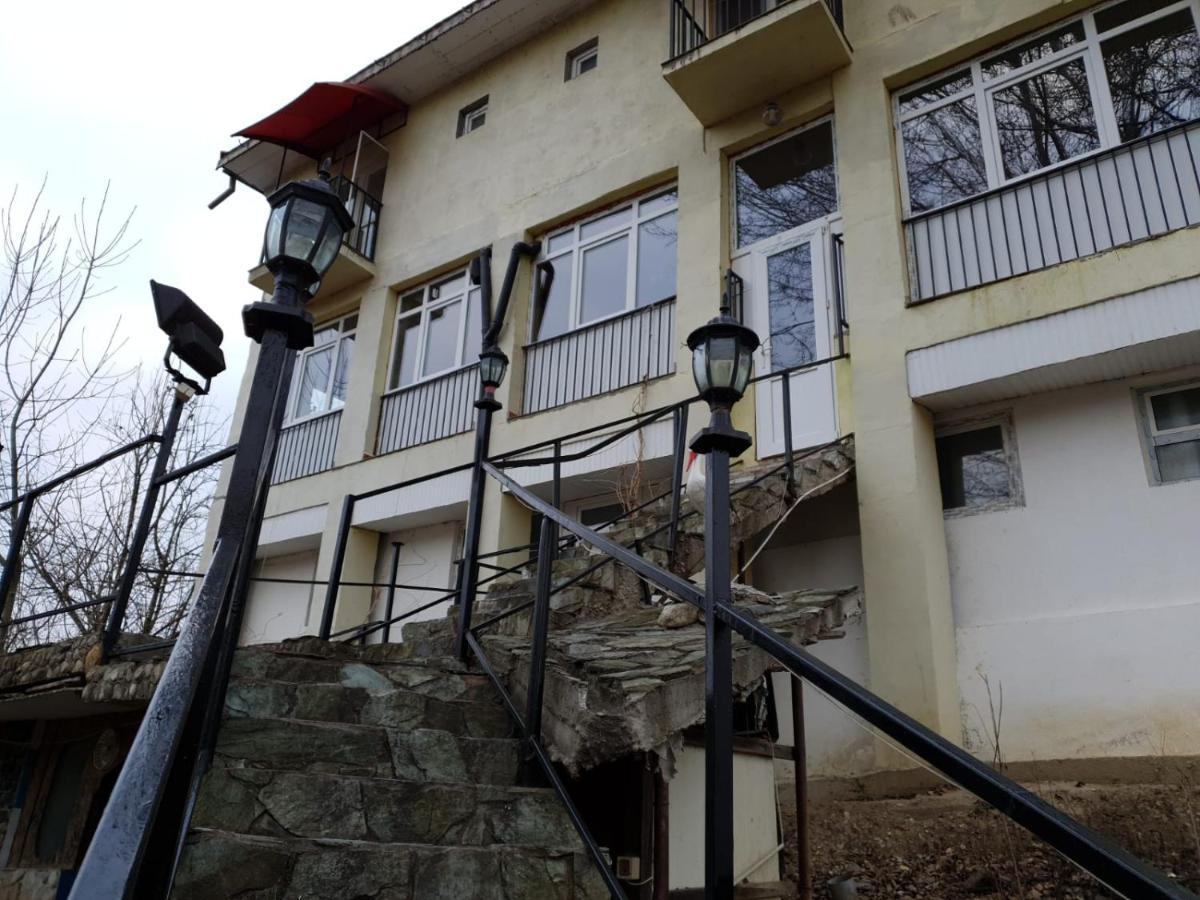 Pensiunea Lucica Sacelu Buitenkant foto