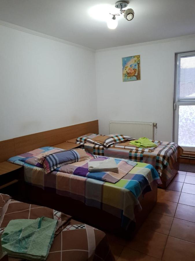Pensiunea Lucica Sacelu Buitenkant foto