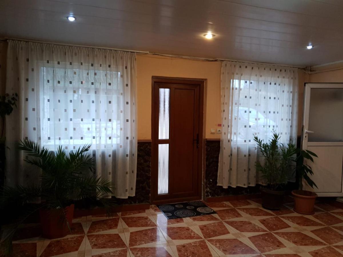 Pensiunea Lucica Sacelu Buitenkant foto