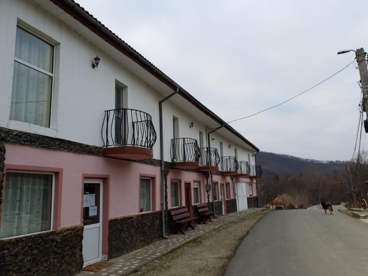 Pensiunea Lucica Sacelu Buitenkant foto