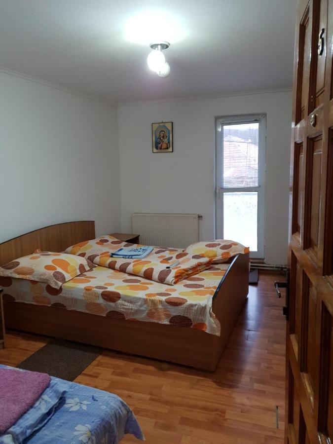 Pensiunea Lucica Sacelu Buitenkant foto