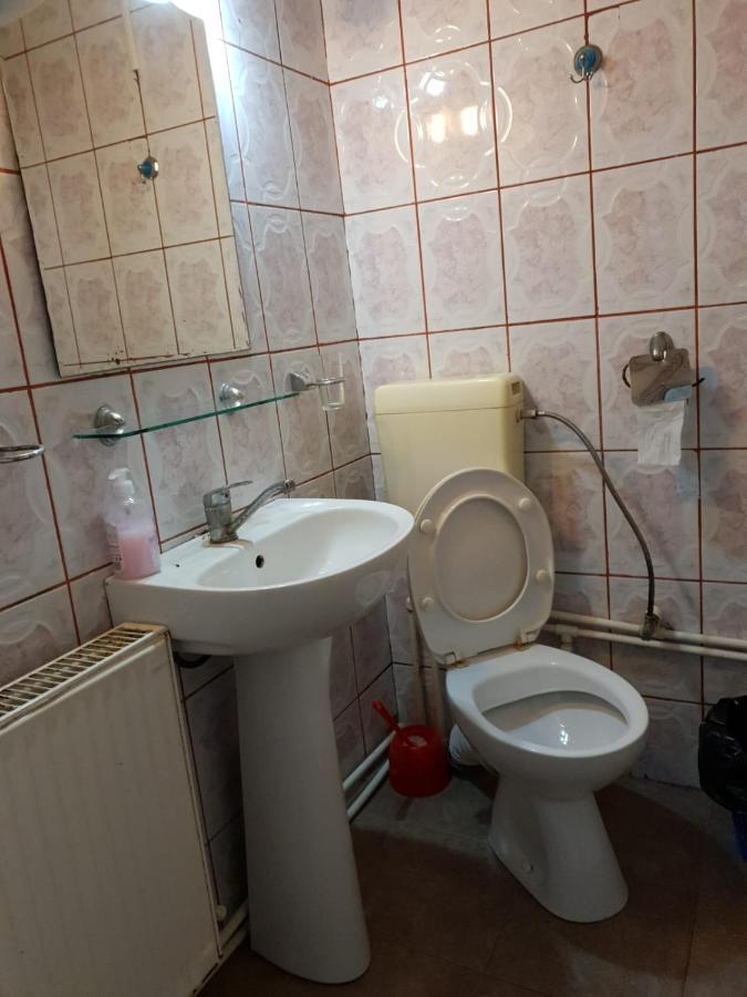 Pensiunea Lucica Sacelu Buitenkant foto
