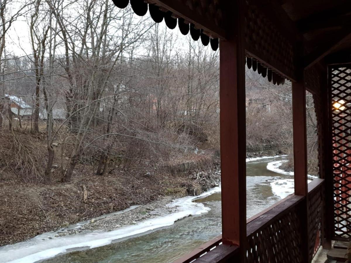 Pensiunea Lucica Sacelu Buitenkant foto