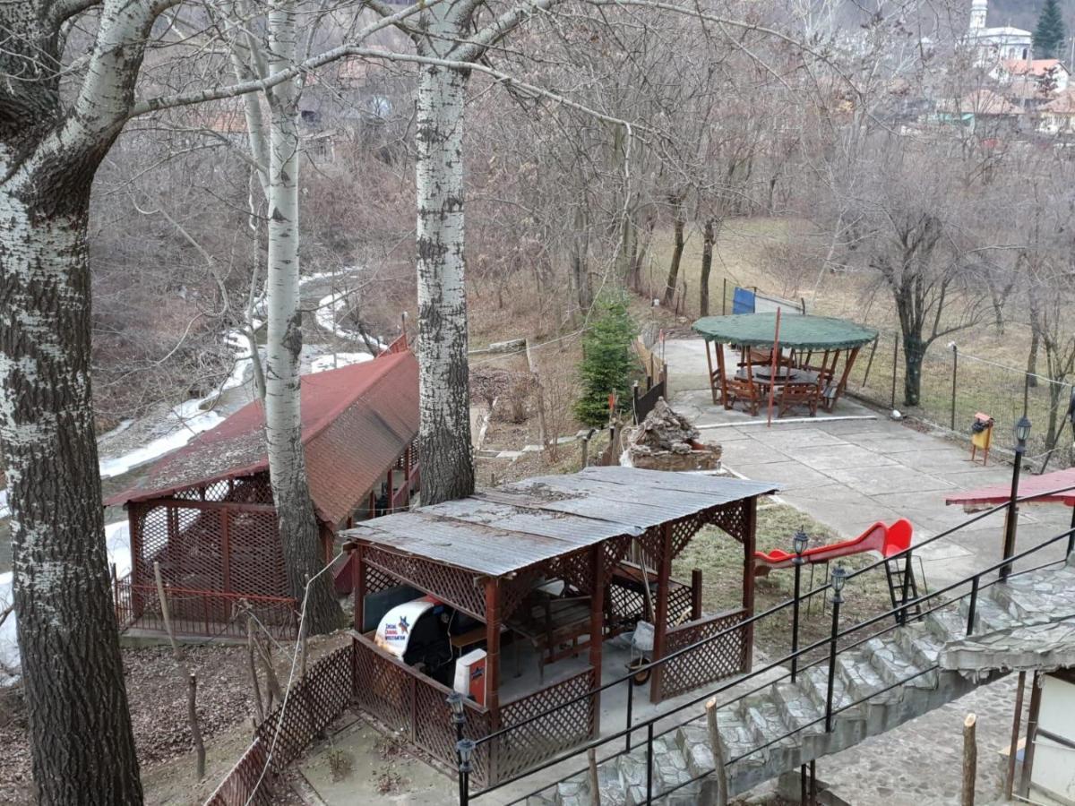 Pensiunea Lucica Sacelu Buitenkant foto