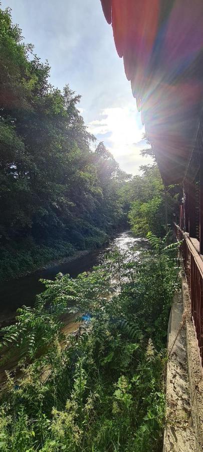 Pensiunea Lucica Sacelu Buitenkant foto