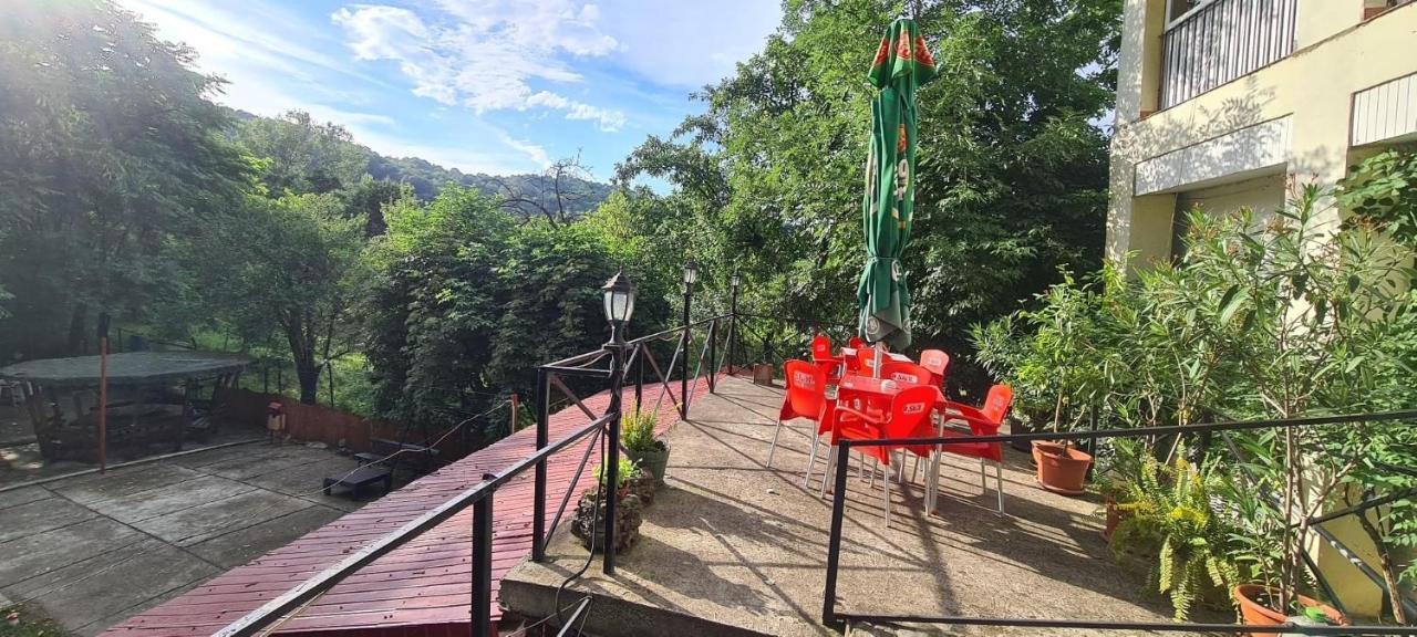 Pensiunea Lucica Sacelu Buitenkant foto