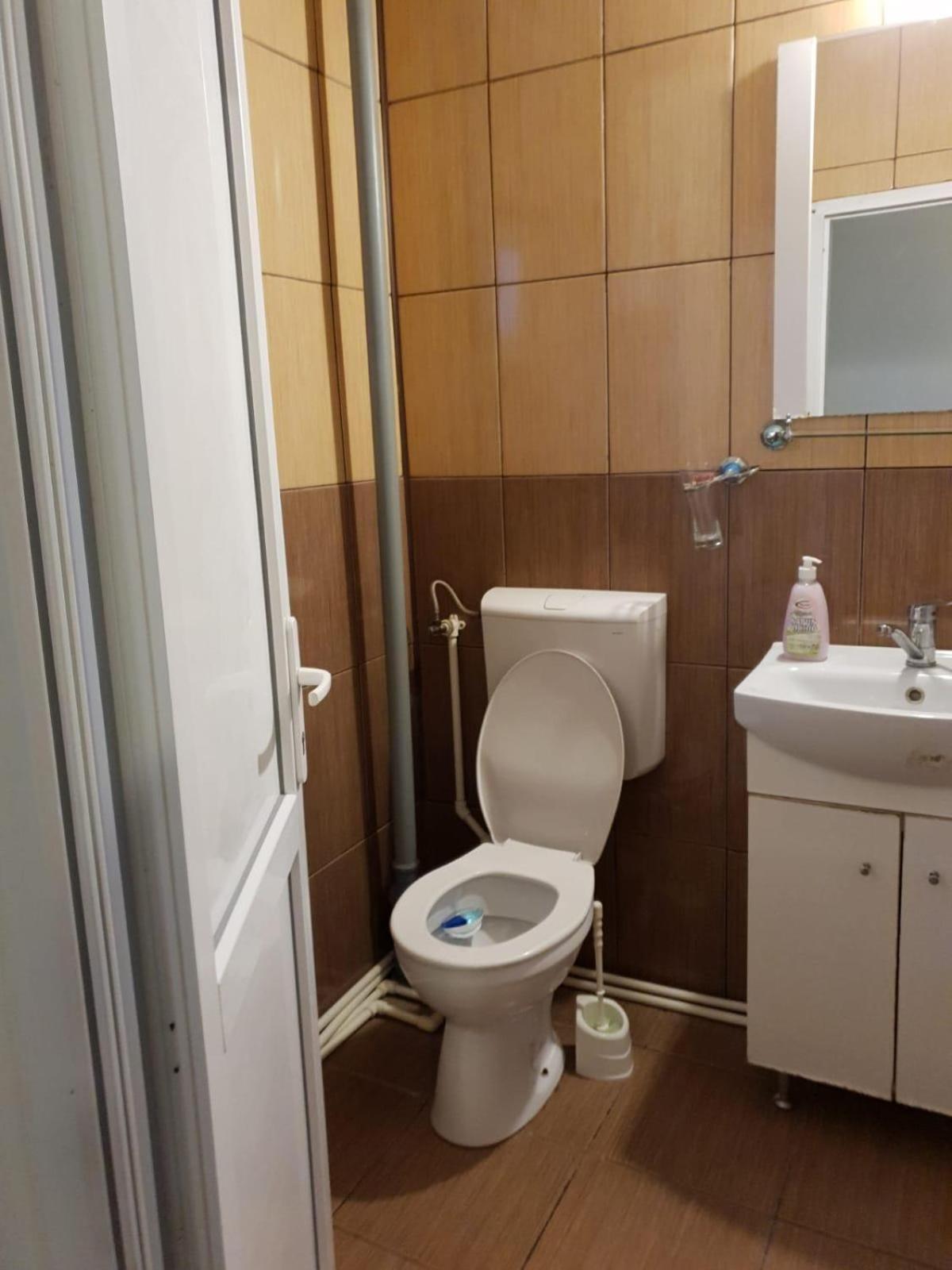 Pensiunea Lucica Sacelu Kamer foto